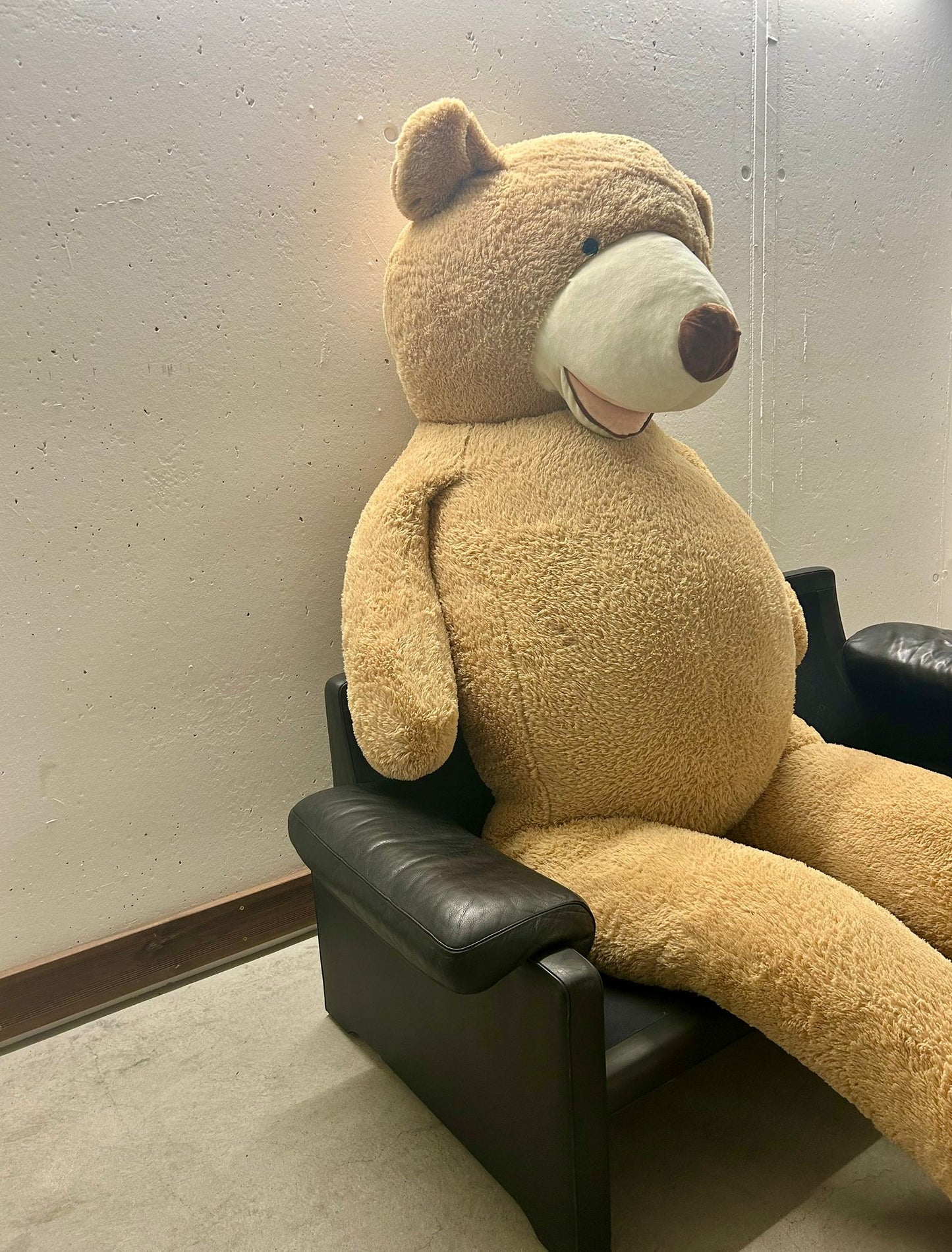 XXL Teddybär Kuscheltier Plüsch sehr gross 330cm Deko