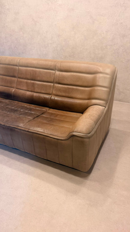 3-Sitzer Sofa DS-84 von De Sede aus Büffelleder (2)