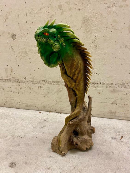 Leguan auf Treibholz
