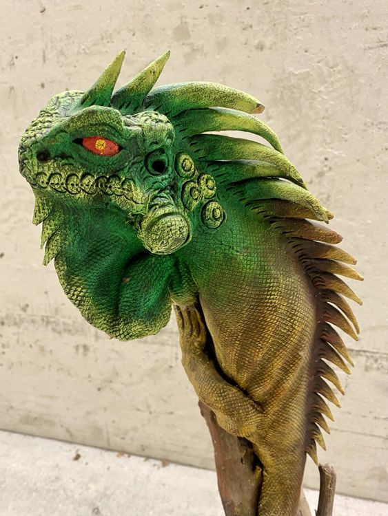Leguan auf Treibholz