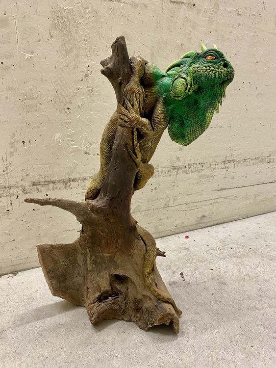 Leguan auf Treibholz