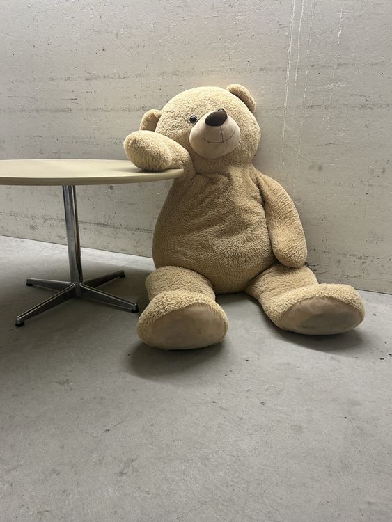 Riesen Teddybär XXL Kuscheltier Plüschbär Stofftier Bär