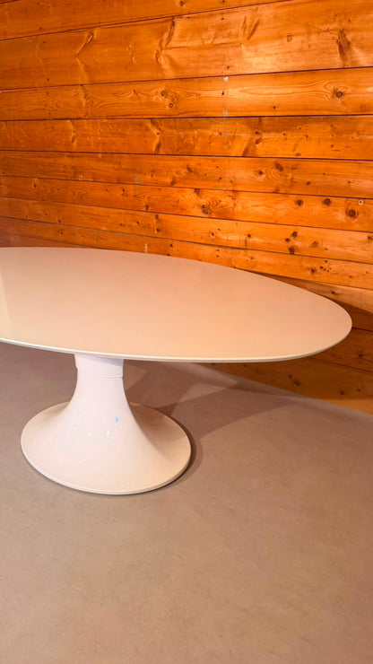 Ovaler Space Age Tisch mit Tulpenfuss in weiss, Tulip Stil
