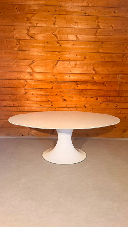 Ovaler Space Age Tisch mit Tulpenfuss in weiss, Tulip Stil