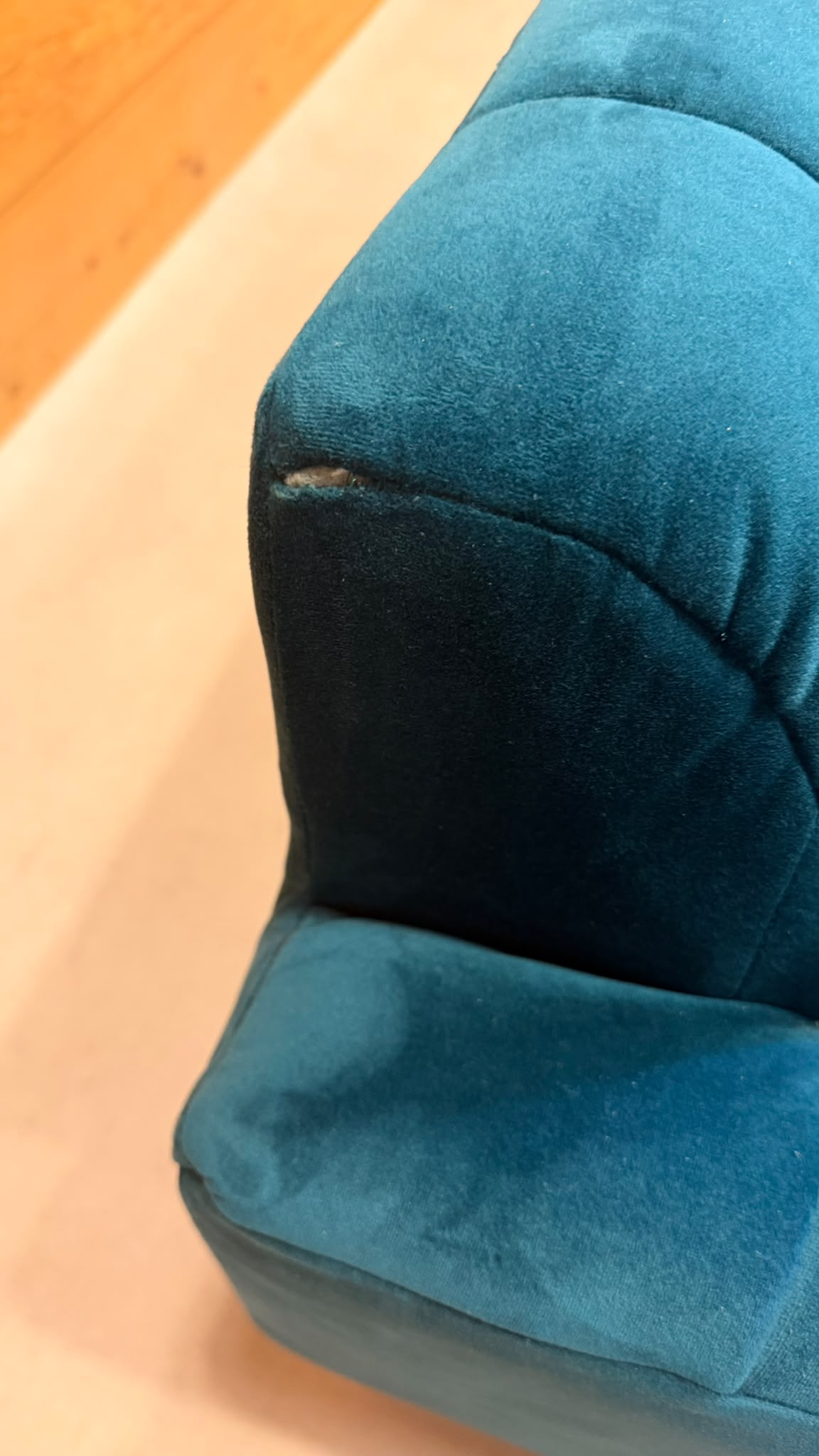 Elegantes 2-Sitzer Samt Sofa in Petrol goldene Metallfüsse
