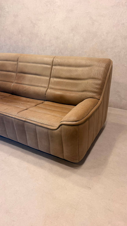 3-Sitzer Sofa DS-84 von De Sede aus Büffelleder (1)