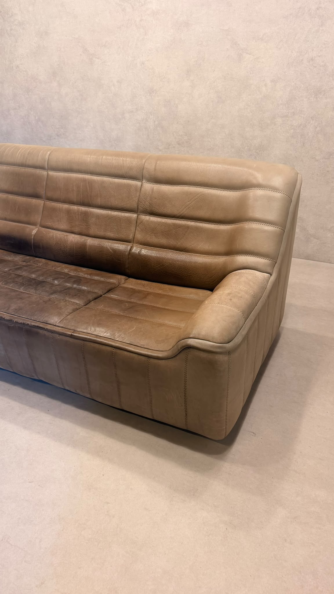 3-Sitzer Sofa DS-84 von De Sede aus Büffelleder (2)